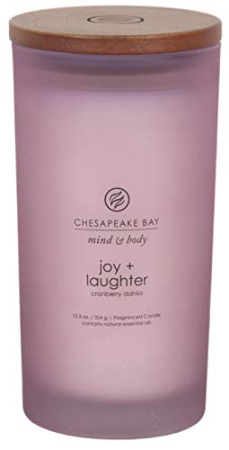 Chesapeake Bay Candle Medium Jar Scented Candle, Serenity + Calm (Lavender Thyme)