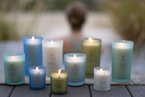 Chesapeake Bay Candle Medium Jar Scented Candle, Serenity + Calm (Lavender Thyme)