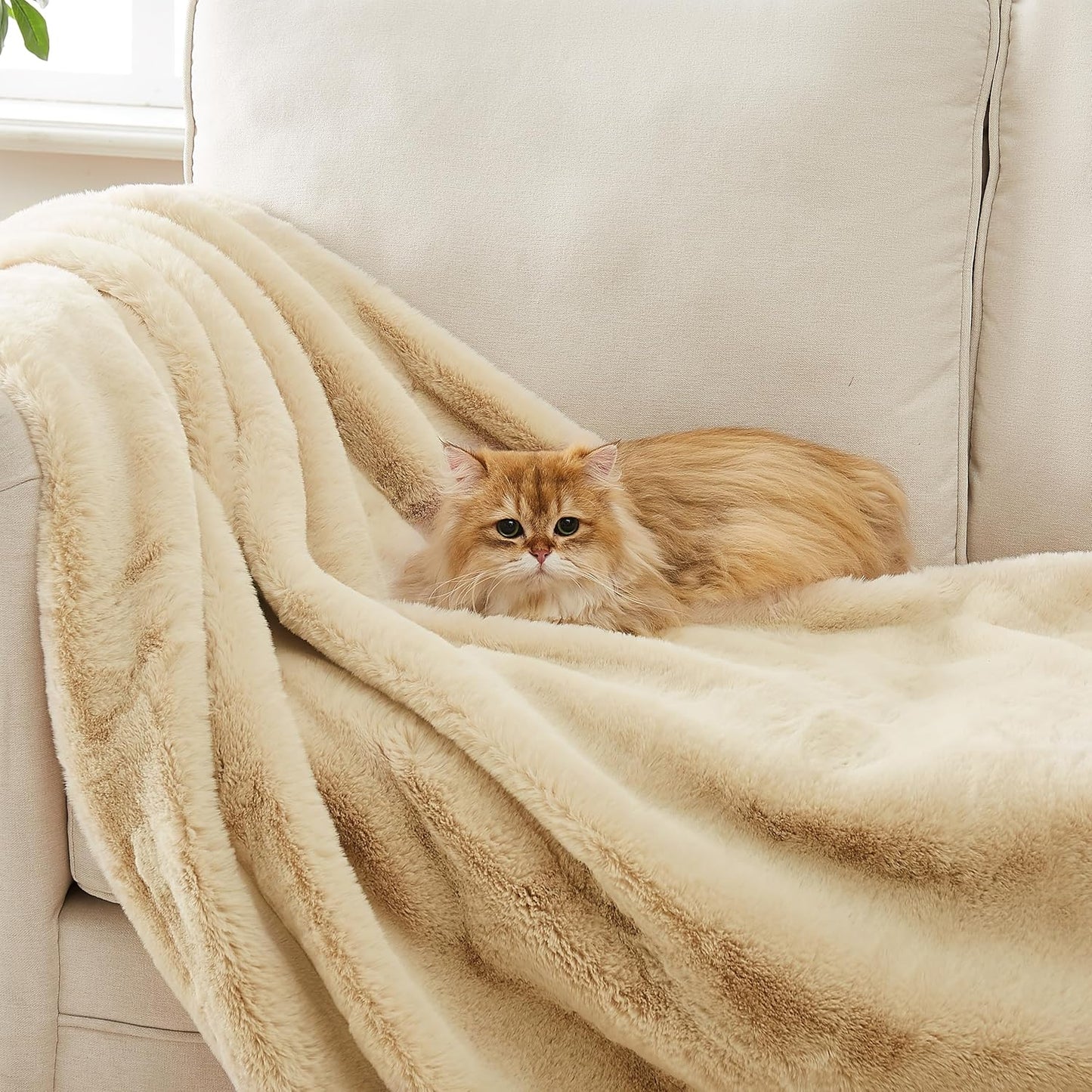 UGG Euphoria Throw Blanket – Soft Faux Fur, 50"x70"